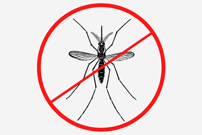 Mosquito Spraying in Borough Parks October 24, 2022