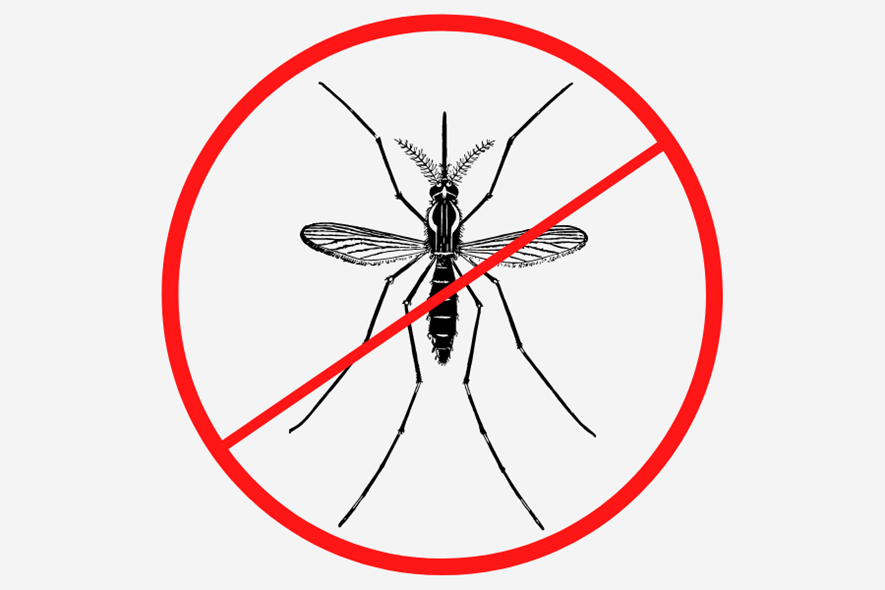 Mosquito Spraying in Borough Parks May 18, 2022