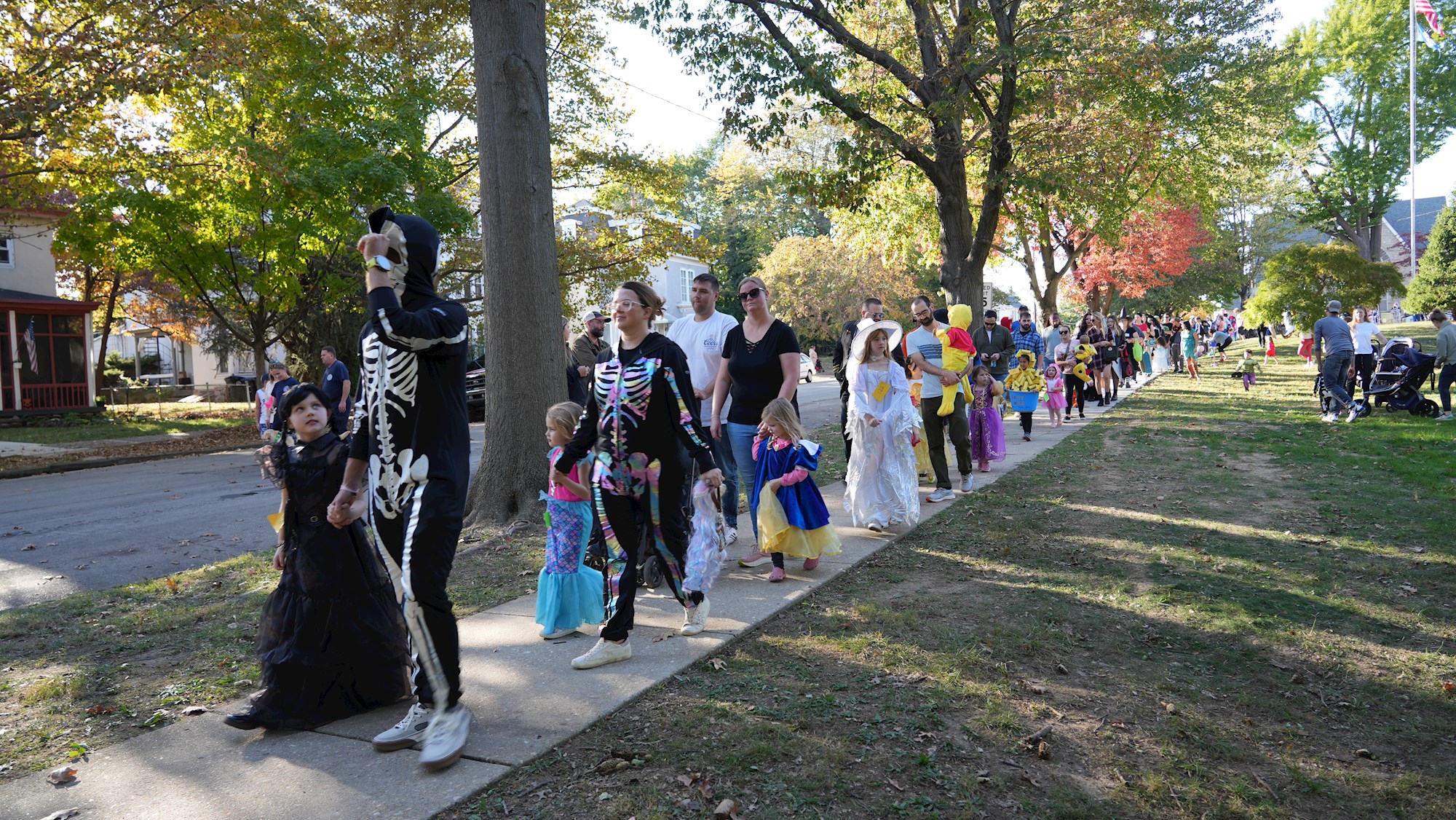 Halloween Web